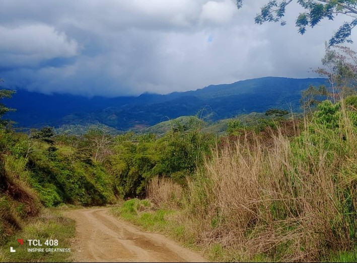The green valleys and misty mountains of the Western Highlands of Papua New Guinea
